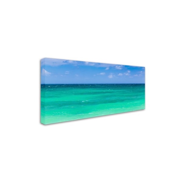 Pierre Leclerc 'Green Hawaiian Sea' Canvas Art,10x19